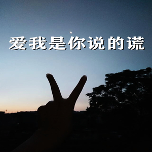 爱我是你说的谎