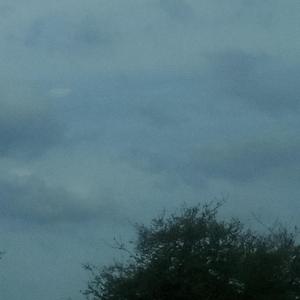 Forgive Your Selfish Doubts