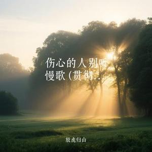 伤心的人别听慢歌 (贯彻快乐)(Cover 孤屿)