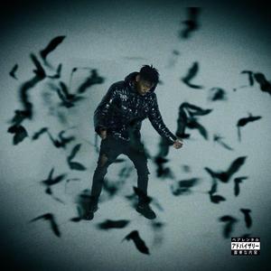 Bat WingzZz! † †