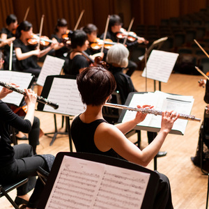 Tranquil Orchestra for Serene Meditation