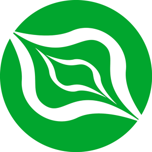 Laggard (Original Mix)