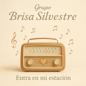 Cielos de quipus