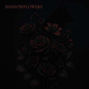 Shadowflowers