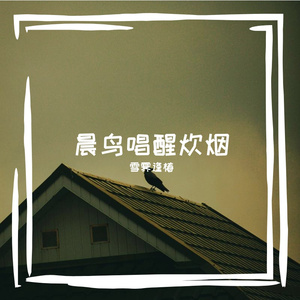 雨滴停落