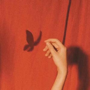 【BEAT】''面纱''