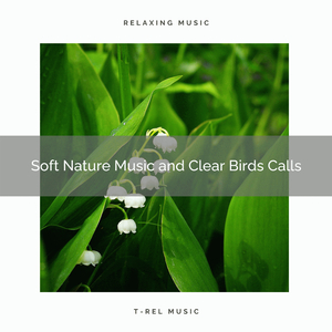 Reach Sleep with Virgin Nature Music for Calm down pt. 2