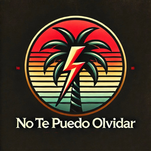 No Te Puedo Olvidar