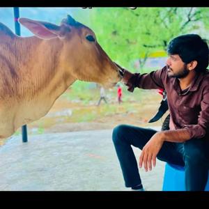 गौ रक्षा दल, राजस्थान 0047