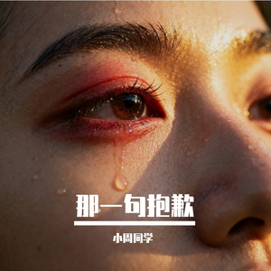 那一句抱歉