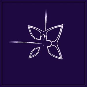 The Offices of Dr. Teeth