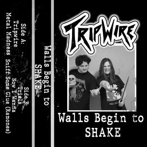 Tripwire (Demo)