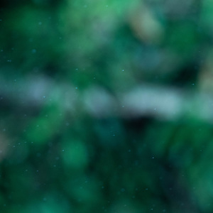 philtrum (kissing ghost)