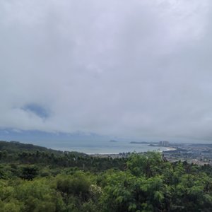 迷途候鸟的破晓