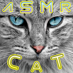 ASMR Cat