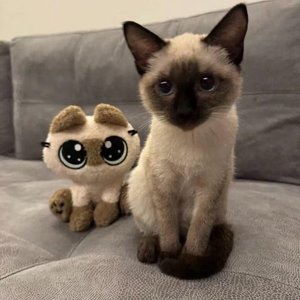 空灵疗愈瑜伽之境