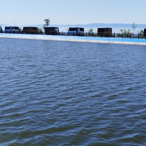 卧看星河落九天