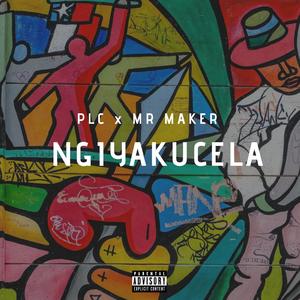 Ngiyakucela (Radio Edit)