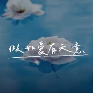 假如爱有天意