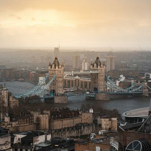 《穿过晨雾的森林》