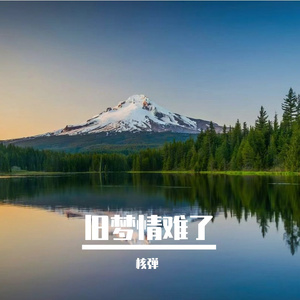 旧梦情难了