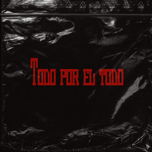 Todo por el Todo