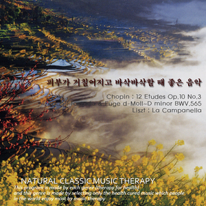12 Etudes Op.10 No.3 E major lento ma non troppo 쇼팽：12개의 연습곡 작품10 제3번 ‘이별의 곡’