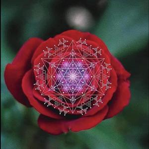 Divine Beauty (feat. Entheo)