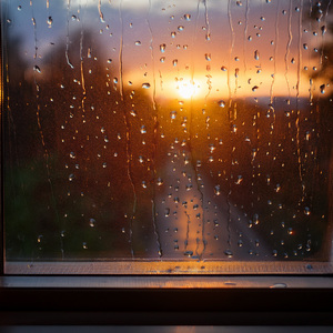 In The Garden Of Stars