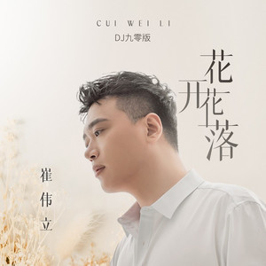 花开花落 (DJ九零版)