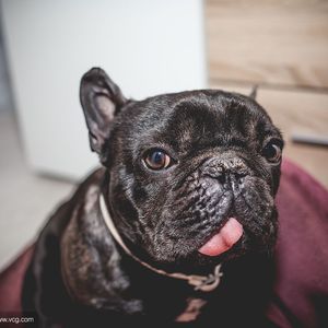 031_雁过衡阳_20220303_测试