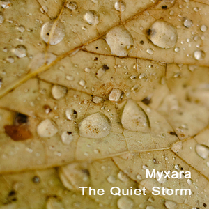 The Quiet Storm