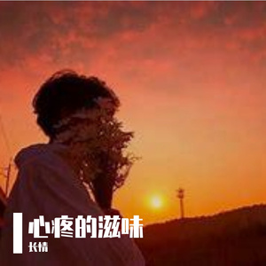 心疼的滋味 伴奏