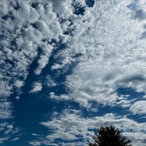 Dancing Mindfulness #2