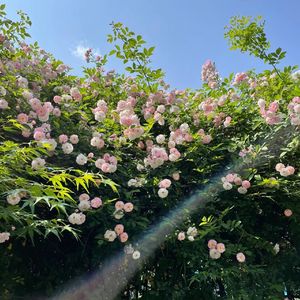 冬眠( 女生版）