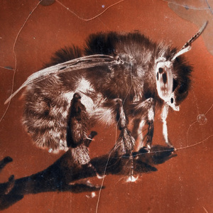 With Another Now (Tzii Remix)