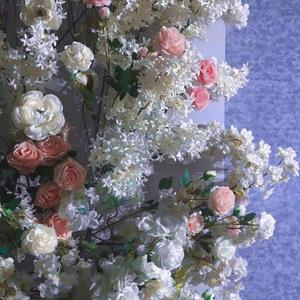 和你美好的从前