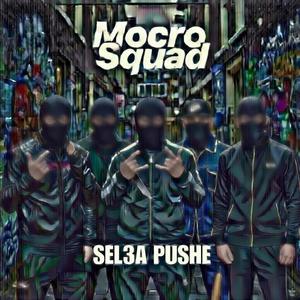 SEL3A PUSHE