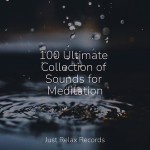 Joyful Blooms Abound