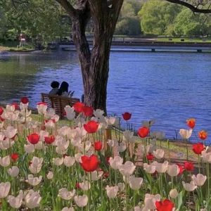 冯小姐专属的07_mixdown