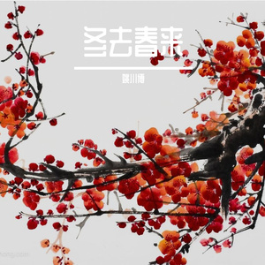 泪如相思雨落下