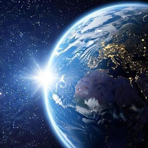 Fossilization Processes