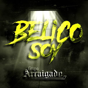 Belico Soy