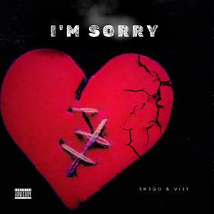 I'm Sorry (feat. VI3Y)