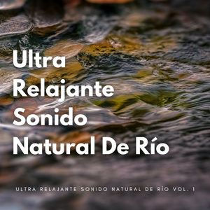 Libera Tu Estrés Con El Sonido Del Río