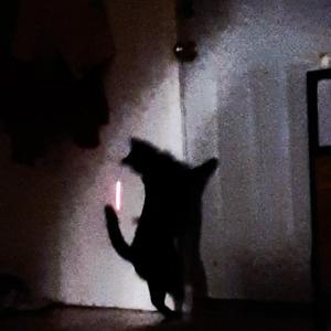 Comforting Isolation