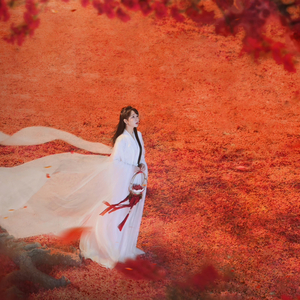 长相思（《长相思》小夭主题曲）