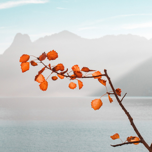 幽默 (高效学习纯音乐)