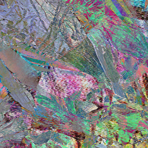 Apatia