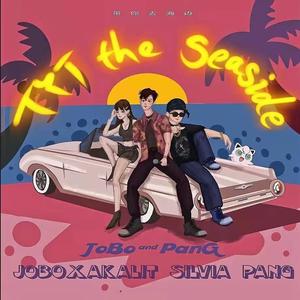 开车带你去海边